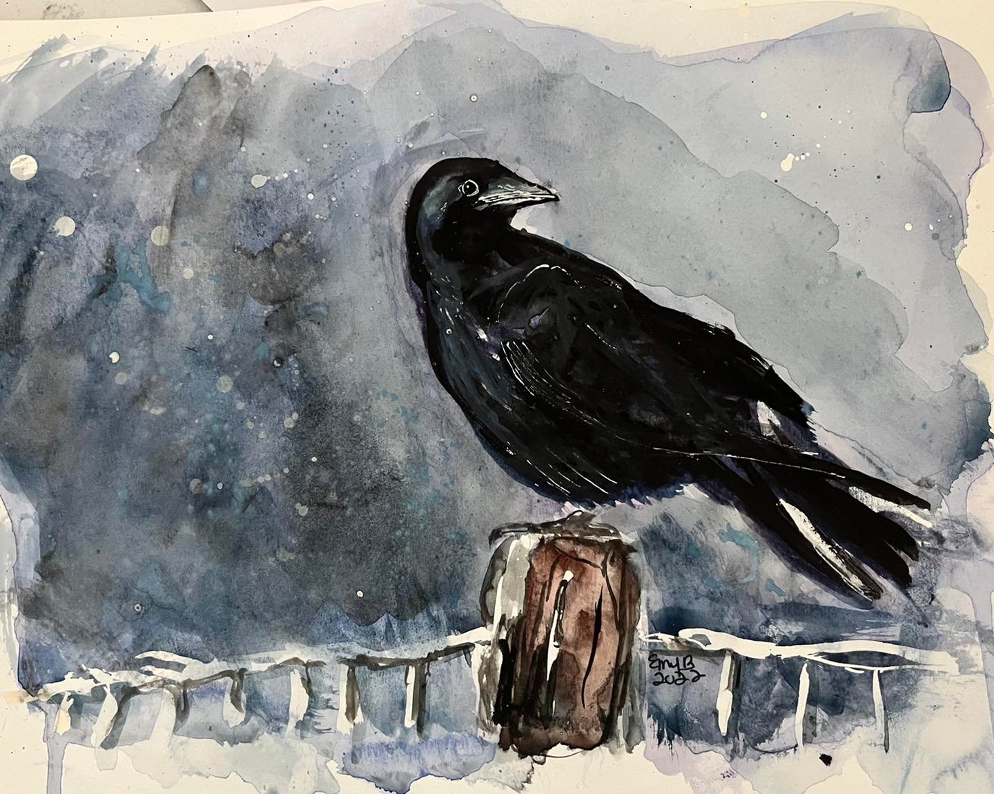 Birds